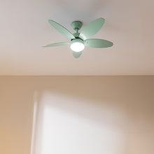 Carica l'immagine nel visualizzatore di Gallery, Energysilence Aero 4260 Full Mint-02