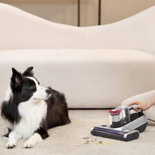 Carica l'immagine nel visualizzatore di Gallery, Jimmy BX6 Pro Aspiratore portatile antiacaro battimaterasso, Potenza 600W, Sterilizzazione UV e ultrasuoni, Tecnologia a ioni negativi, Doppio serbatoio, Filtro Dual-Cyclonic e certificato di qualità