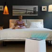 Carica l'immagine nel visualizzatore di Gallery, Deumidificatore BigDry 4000 Expert Connected