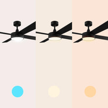 Carica l'immagine nel visualizzatore di Gallery, 10913615