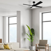 Carica l'immagine nel visualizzatore di Gallery, 10913617