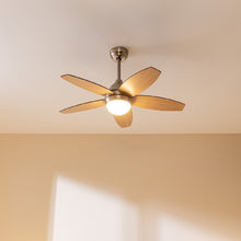 Carica l&#39;immagine nel visualizzatore di Gallery, Ventilatore Da Soffitto Energysilence Aero 495-05
