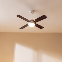 Carica l&#39;immagine nel visualizzatore di Gallery, Ventilatore Da Soffitto Energysilence Aero 4250 Fresh-05
