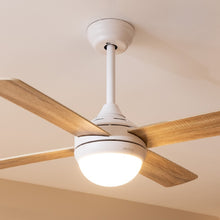 Carica l&#39;immagine nel visualizzatore di Gallery, Ventilatore Da Soffitto Energysilence Aero 4250 Dc Fresh-02
