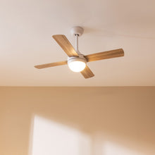Carica l&#39;immagine nel visualizzatore di Gallery, Ventilatore Da Soffitto Energysilence Aero 4250 Dc Fresh-05
