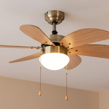 Carica l&#39;immagine nel visualizzatore di Gallery, Energysilence Aero 360 Gold&amp;Wood-02

