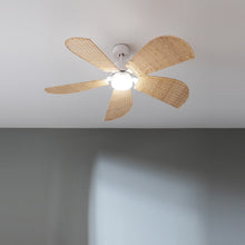 Carica l&#39;immagine nel visualizzatore di Gallery, Energysilence Aero 5290 Natural-02
