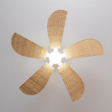 Carica l&#39;immagine nel visualizzatore di Gallery, Energysilence Aero 5290 Natural-04
