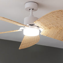 Carica l&#39;immagine nel visualizzatore di Gallery, Energysilence Aero 5290 Natural-05
