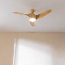 Carica l&#39;immagine nel visualizzatore di Gallery, Energysilence Aero 5290 Lightwood-05
