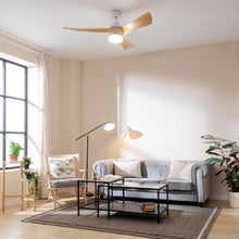 Carica l&#39;immagine nel visualizzatore di Gallery, Energysilence Aero 5280 Lightwood-04
