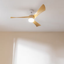 Carica l&#39;immagine nel visualizzatore di Gallery, Energysilence Aero 5280 Lightwood-05
