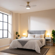 Carica l&#39;immagine nel visualizzatore di Gallery, Energysilence Aero 4265 Goldwhite-03
