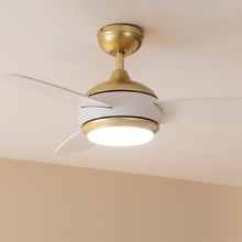 Carica l&#39;immagine nel visualizzatore di Gallery, Energysilence Aero 4265 Goldwhite-05
