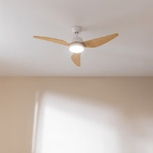 Carica l&#39;immagine nel visualizzatore di Gallery, Energysilence Aero 5250 Lightwood-05
