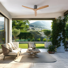 Carica l&#39;immagine nel visualizzatore di Gallery, Energysilence Aero 5500 Aqua Ironlightwood Connected-04
