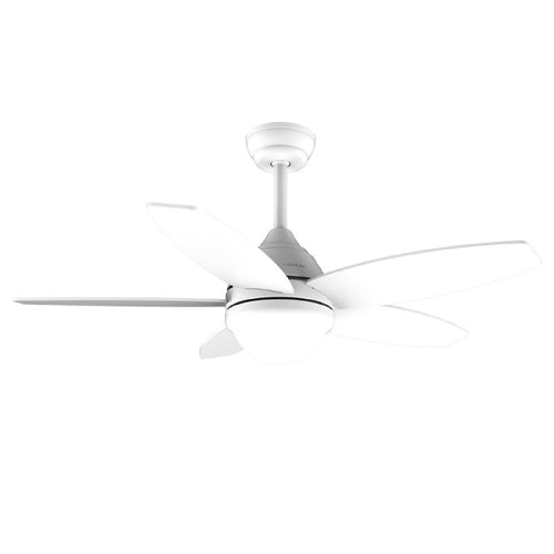Energysilence Aero 4200 Lightwood-01