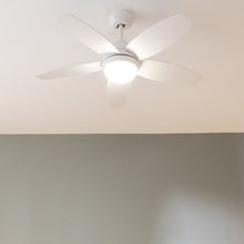 Carica l&#39;immagine nel visualizzatore di Gallery, Energysilence Aero 4200 Lightwood-02
