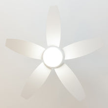 Carica l&#39;immagine nel visualizzatore di Gallery, Energysilence Aero 4200 Lightwood-04
