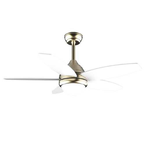 Energysilence Aero 4200 Goldwhitewood-01