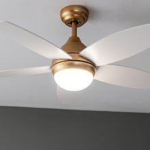 Carica l&#39;immagine nel visualizzatore di Gallery, Energysilence Aero 4200 Goldwhitewood-05
