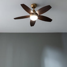 Carica l&#39;immagine nel visualizzatore di Gallery, Energysilence Aero 4200 Golddarkwood-02
