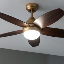 Carica l&#39;immagine nel visualizzatore di Gallery, Energysilence Aero 4200 Golddarkwood-05
