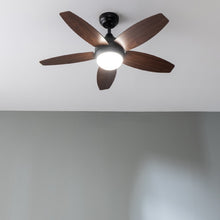 Carica l&#39;immagine nel visualizzatore di Gallery, Energysilence Aero 4200 Black&amp;Darkwood-02
