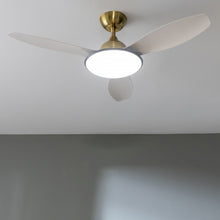 Carica l&#39;immagine nel visualizzatore di Gallery, Energysilence 4800 Light Goldwhite-02
