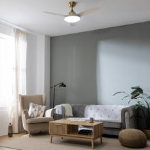 Carica l&#39;immagine nel visualizzatore di Gallery, Energysilence 4800 Light Goldwhite-03
