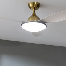 Carica l&#39;immagine nel visualizzatore di Gallery, Energysilence 4800 Light Goldwhite-05
