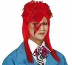 Parrucca Rock -David Bowie-