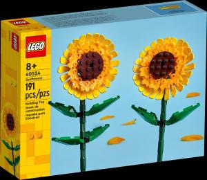 Creator Girasoli