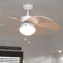 Carica l&#39;immagine nel visualizzatore di Gallery, Ventilatore da soffitto EnergySIlence Aero 3600 Vision Orange
